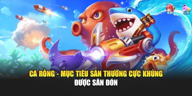 Cá Rồng - Mục Tiêu Săn Thưởng Cực Khủng Được Săn Đón 4 Cá Rồng - Mục Tiêu Săn Thưởng Cực Khủng Được Săn Đón